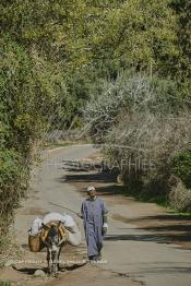 Image du Maroc Professionnelle de  Un berbères bien chargé de marchandise arrive au marché de Tnine Ourika, le village berbère située dans la vallée de l'Ourika sur la route de l'Oukaimden dans le haut Atlas, Mardi 27 Février 2007. (Photo / Abdeljalil Bounhar)